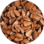 Roasted Seeds